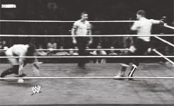 primocolon:  GREAT MATCHES IN 2013: Adrian Neville vs Sami Zayn - WWE NXT (November