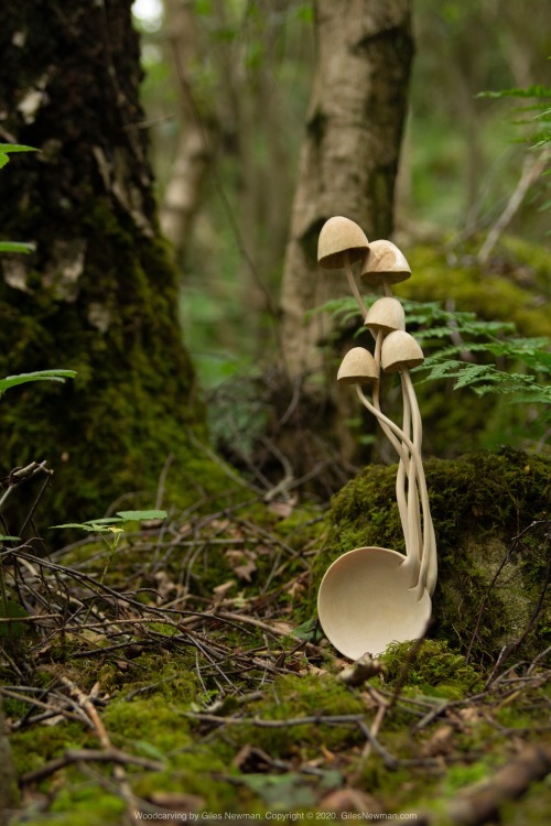 The last Mushroom spoon I carved, way back in 2018. I think it’s high time that I carved a new