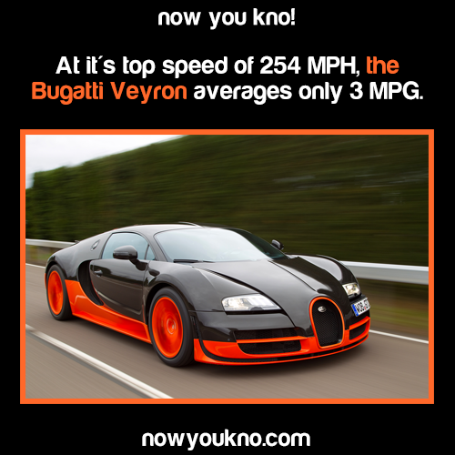 nowyoukno:  Now You Know (Source)