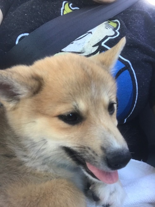 darkvioletcloud:Here she is!!!