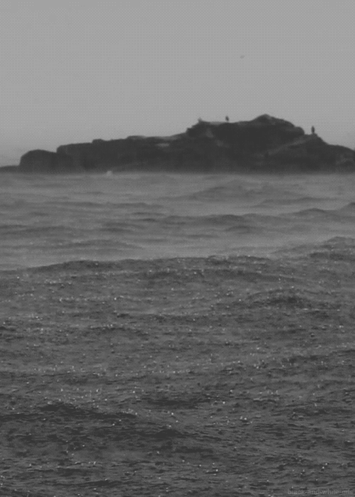 all-i-hear-is-rain:raindrops