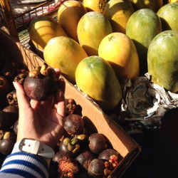 achykid:  monday morning fruit shopping!