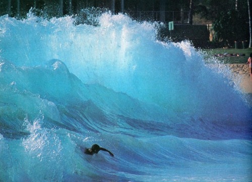 humblewonder:Surfer Magazine 1978 @surfer_magazine