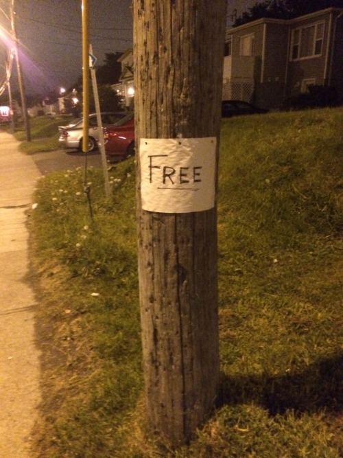 fartgallery:  Oh sweet, I’ve always wanted a free pole