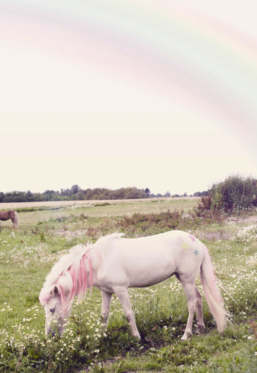 lovelysoftgrunge:  follow for more soft grunge 