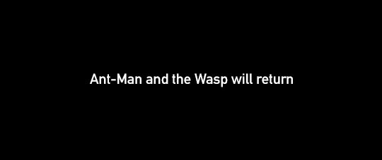 Ant Man And The Wasp (2018)