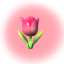 softcookies-posts