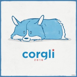 giveafluff:  Corgli decided it was time. His campaign consists of: • Flip flopping pancakes • Making America fluffy again • Cupcakes for all  (Follow Corgli on Instagram at @Corgli and Facebook at Facebook.com/Corgli)  #Corgli4president #voteforcorgli