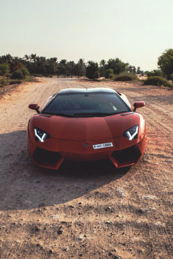 artoftheautomobile:  Lamborghini Aventadorvia Aldric_A