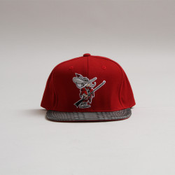asthetiques:  Just Don - UNLV Runnin Rebels Logo Hat. 
