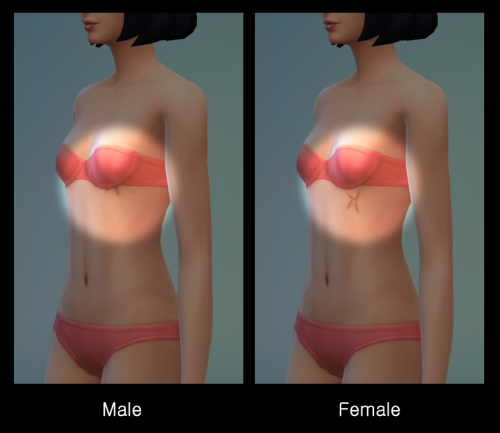 CHEST SCAR_1Maxis MatchBase GameNew MeshTeen, Adult, Elderfound in Tattoo-Lower(Front), Leg(Left),&n