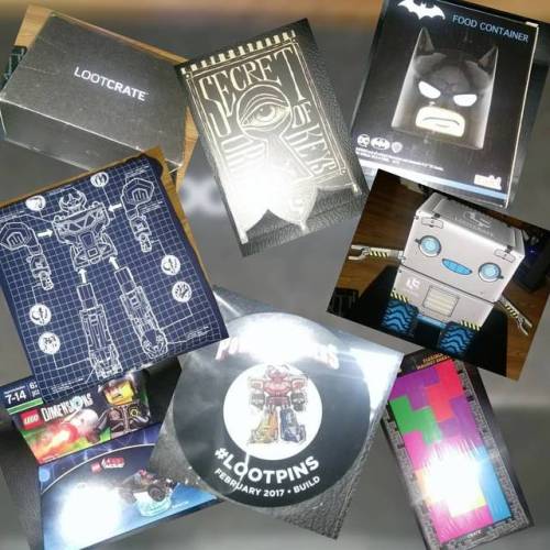 Sex February Loot Crate #lootcrate #batman #tetris pictures