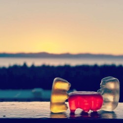 friskybears:  #BanginGummies #HangingOut on #SouthLakeTahoe #LakeTahoe #Sunset #California #Nevada #ZephyrCove #Beach #FRISKYBEARSnation #GummieBearsGoneWild #KeepTahoeBlue #DrinkTahoeBrew #NorCal #Horizon #BeachHouse #Summer  Lol.