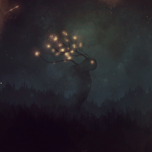 Illustrations By M. Vander 