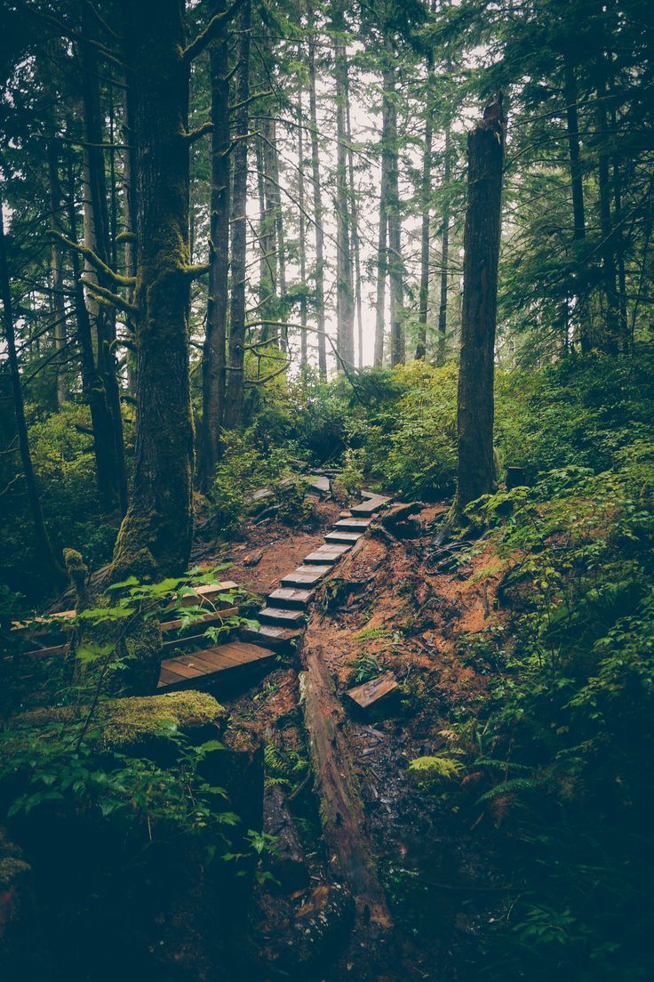 bonitavista:  British Columbia, Canada photo via highexistance 