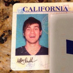 poisonyouth:  Just got my new driver’s license in the mail. OH MY GOD HAHAHAHA - @smoshidiot  