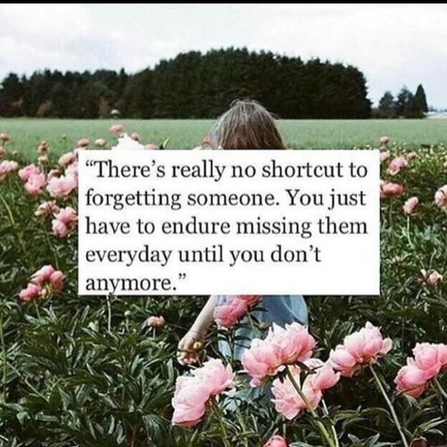 It&rsquo;s shit, tho&hellip; 😔