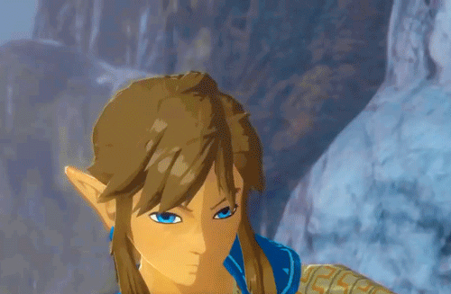 hyliansheik:  Link… you are the light – our light – that must shine upon Hyrule