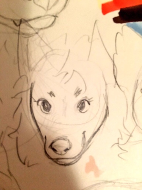 retark:doggos i’ve drawn to figure doggo snouts out!!