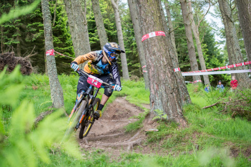 thebikingsquirrel: Tongue out flat out Ludovic May of the Canyon Factory Enduro Team heading down t