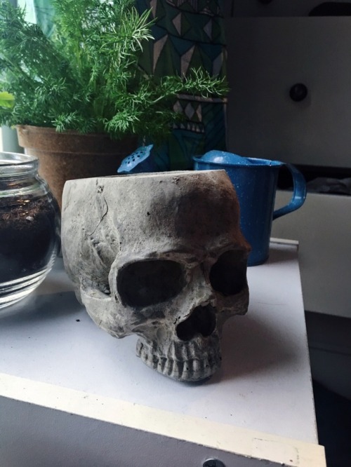 So I’ve stared up an Etsy!Made some cool cement skull planter and candle holder!! Check it out! ht