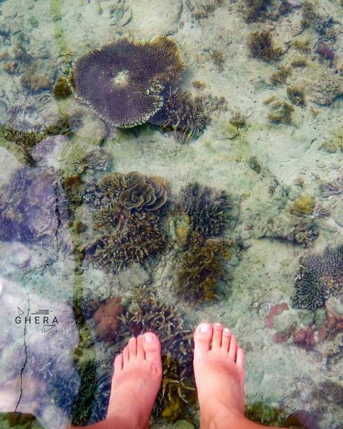 #mytwosquarefeet . . . . . . . #travelph #travel #philippines #GerGoesTo #temploisland #masbate #cor