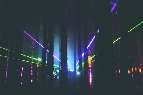 pvrplehaz3:Lazers through the forest.