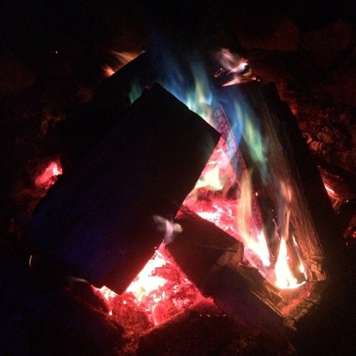 K with a Cub Scout asking if we can sacrifice me in the fire but psychedelic flames are gnarly 🔥🍄 #camping #flames #tripping #shroomlife