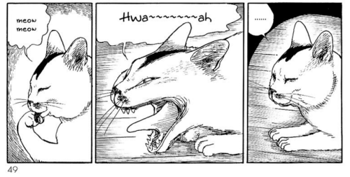 arabhusband: Junji Ito’s Cat Diary: Yon &amp; Mu (2009)