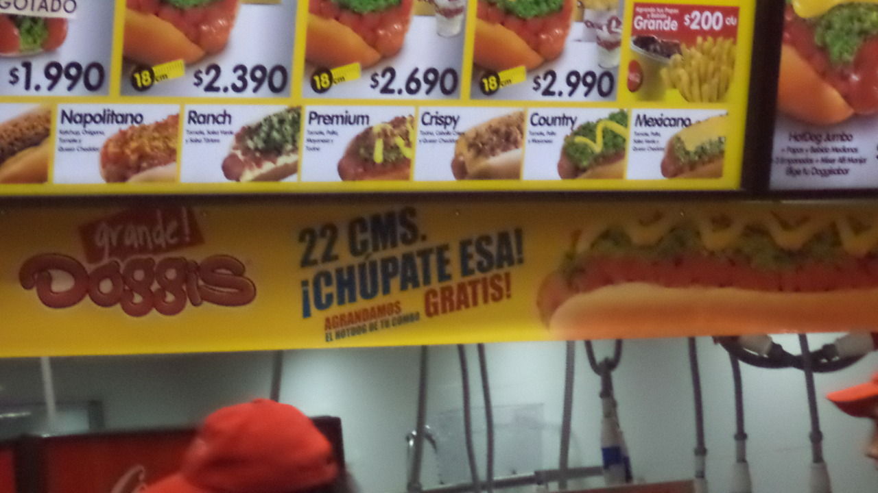 conchesumadres:  Doggis iquique ctm D: 