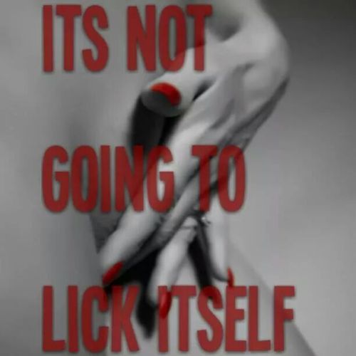 kinkycutequotes: It’s not going to lick itself ~k/cq~