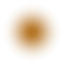 hered1tary