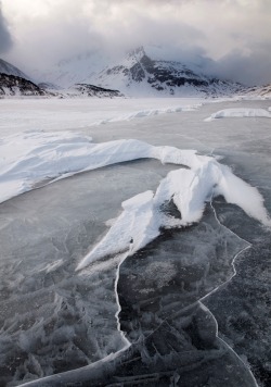 0rient-express:  Frozen Land (by Simone