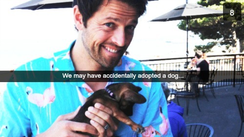 yourspecialeyes:  meardmish:  au: cas and dean are human, the gates of heaven and