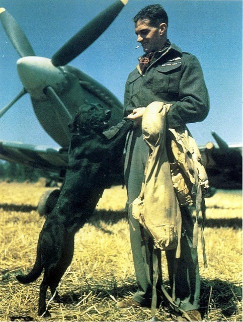 Johnny Johnson (Wing Commander James E Johnson): The top RAF fighter ace, shooting down 38 German pl