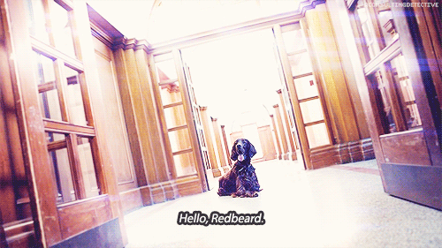 aconsultingdetective:∞ Scenes of SherlockCome here, Redbeard! Good boy! Clever boy!