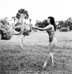 vintagegal:  Bettie Page photographed by Bunny Yeager at Africa USA in Florida , 1954 