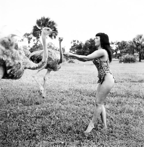 vintagegal:Bettie Page photographed by Bunny Yeager at Africa USA in Florida , 1954