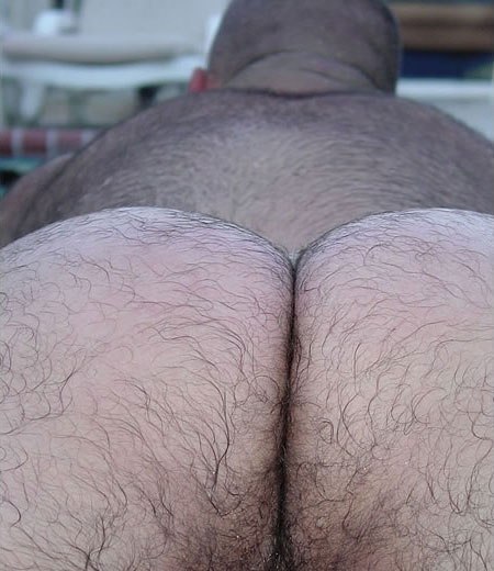 bearhntr6:  http://bearhntr6.tumblr.com/ 
