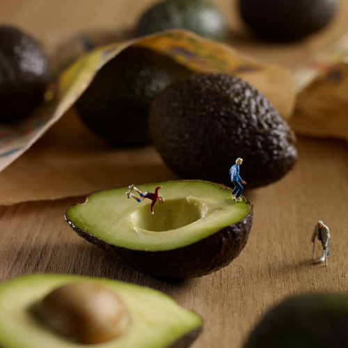 itscolossal:  A Pair of Culinary Photographers Create Edible Backdrops for a World of Miniature Inhabitants