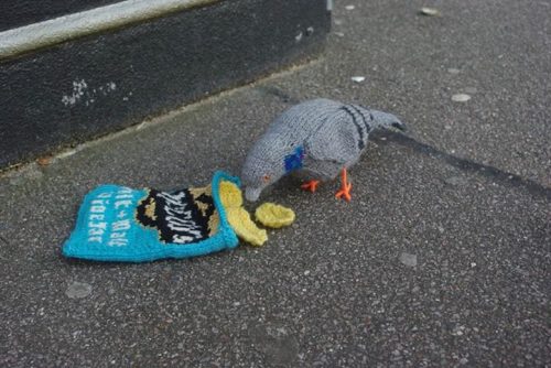 supersugoiautism:birdsofafeathercolchester:Little knitted pigeon enjoying some crisps on the pavemen