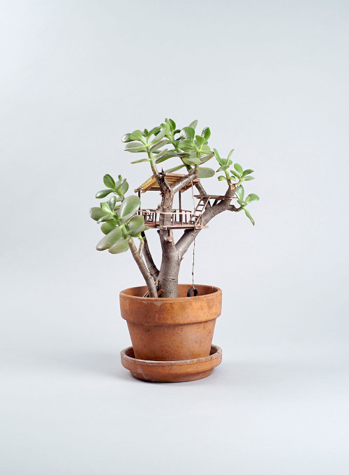 escapekit: Miniature Treehouse LA-based artist Jedediah Corwyn Voltz creates awesome miniature 