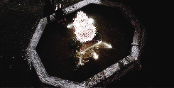 salvatore-vampire:  Merry Christmas! 