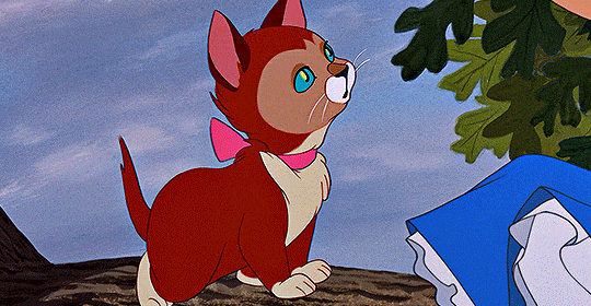 cody-fern:Most everyone’s mad here.ALICE IN WONDERLAND (1951)