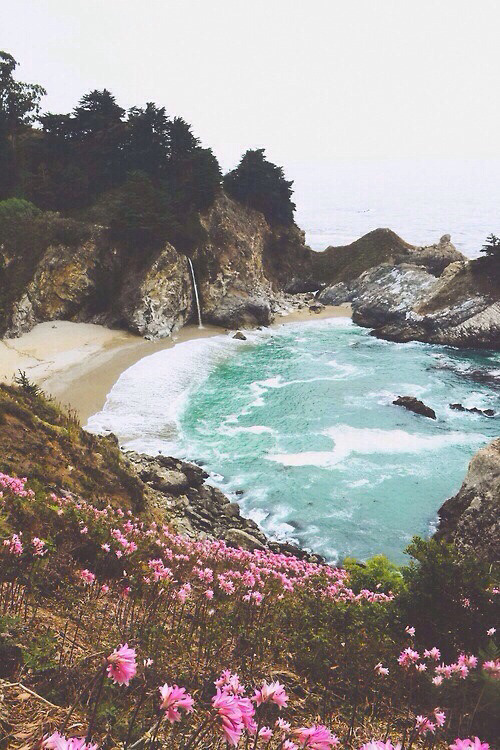 surfursparadise:  ☀follow for more summer☀