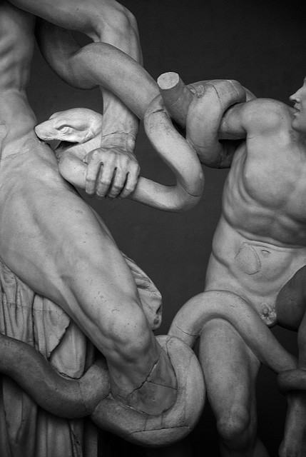 theartistsmanifesto:detail of Laocoon and His Sons