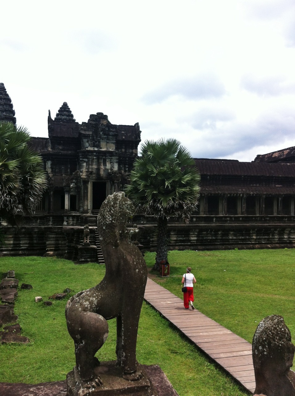 Angkor Wat and Ta Prohm temples
