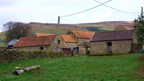 On the York North Moors, England.