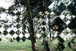 thirstyear:  Studio Nomad’s mirror installation reflects fragments of forest