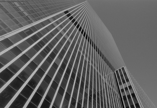 Manhattan Lines - New York City (September 2013) Kodak Tmax 100